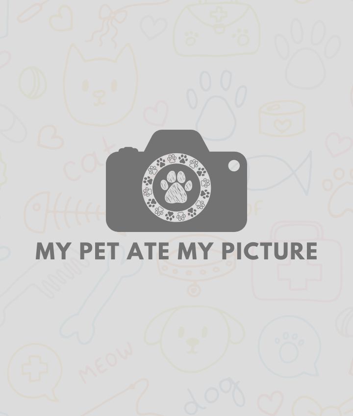 Portrait of Cassie Lanenga