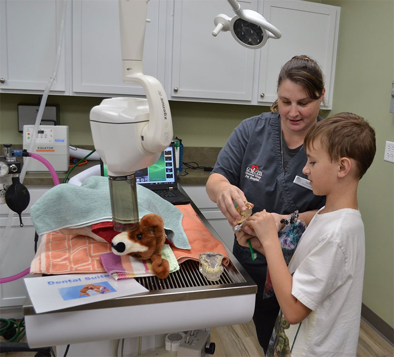 Veterinarian Jobs in IL