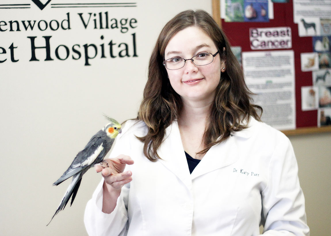 Carousel Slide 2: Dr. Katy Parr with Parakeet
